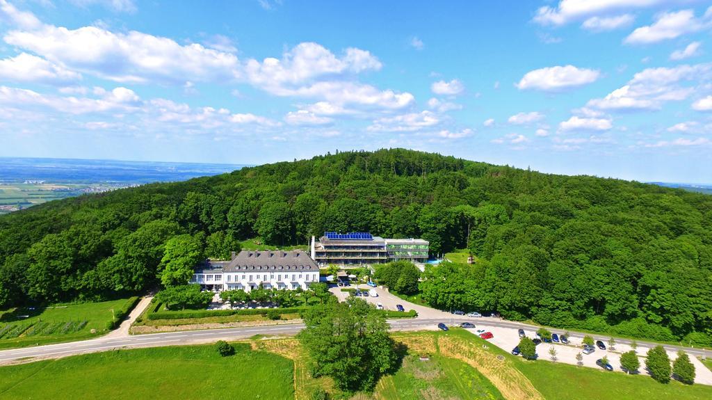 Berghotel Tulbingerkogel 默尔巴赫 外观 照片